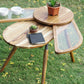 Beetle with Wings Solid Wood Side Table